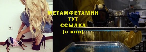 трава Аркадак
