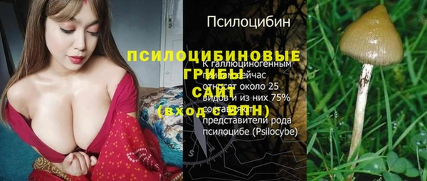 трава Аркадак