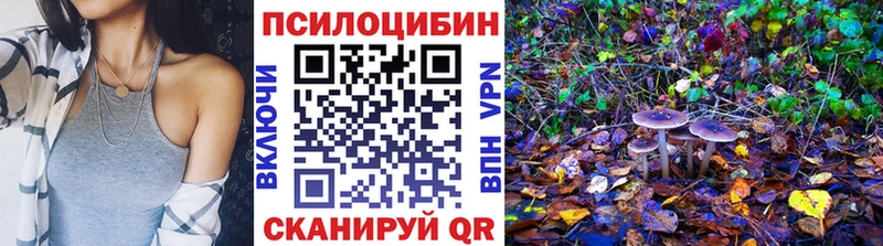 Псилоцибиновые грибы Psilocybine cubensis  Заволжье 